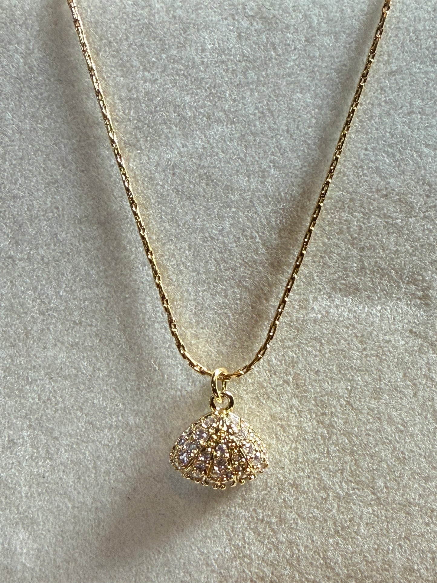 Shell Necklace